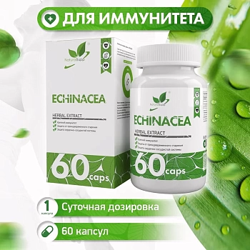NaturalSupp Эхинацея 500 мг / Витаминны для иммунитета / Антиоксидант 60 капсул 
