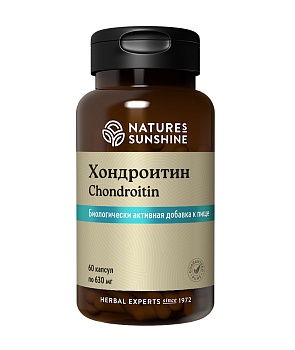 Хондроитин 630 мг 60 капсул NSP (НСП)